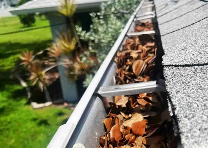 Detroit gutter cleaning home page